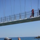 레일바이크 이미지