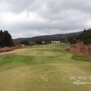 클럽나인(club9) Daum카페