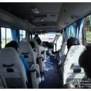 라파레이 이미지