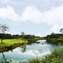 스카이 밸리 이미지