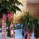 닥터포레두피피부센터 네이버블로그