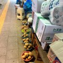 실내포장마차 | 봉천역술집 실내포장마차 서울대입구 노포 감성 내돈내산 후기