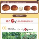 율림 이미지
