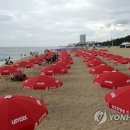 경포의휴일 이미지