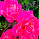 백송태양광 이미지