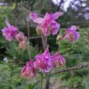 승희농장 이미지