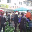 황금장날 Daum카페