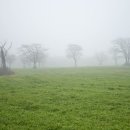 평원목장 이미지