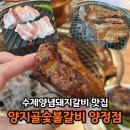 부산양정맛집 양지골숯불갈비 양정점 양정고기집 가족외식 추천