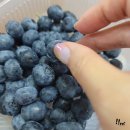 로컬푸드직매장(아름동) | 세종시 과일구매 - 싱싱장터