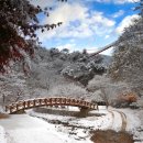 강천산 길 이미지