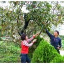 통나무산장 이미지