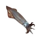 한치로2 이미지