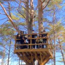 자연아이숲유치원 이미지