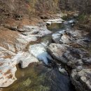 오대산 산채정식 이미지