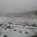 강림면330 이미지