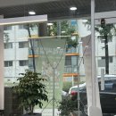 프레씨엘 보령동대동점 네이버블로그