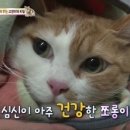 소통농장2 이미지