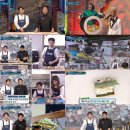 마요꼬마김밥 스포츠동아