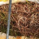 석구목장 이미지