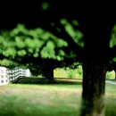 노르웨이의숲 이미지