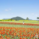 취다선리조트 이미지