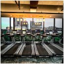 도미디 피트니스 이미지