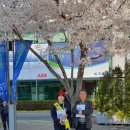 기홍 태양광발전소 이미지