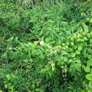 웅남주민복지회관 이미지