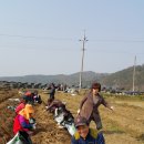 한돌농장 네이버블로그