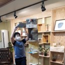 동량초등학교 이미지