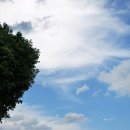 시인과촌장 이미지