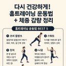 다시건강 티스토리