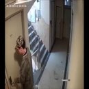 신림동-2 이미지