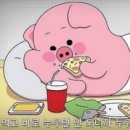 미슐냉삼 이미지