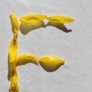 삼성숨정신건강의학과의원 | 정신건강이란 무엇인가?