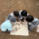 🎂7월 숲 생일파티, 저작권이란?, 나만의 책 표지📚 이미지