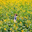 7월25일(토)몽토랑산양목장-구와우해바라기(미드님 진행) 이미지