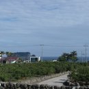 제주하나리조트 이미지