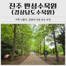 경남야생동물센터 | 진주 반성수목원 아기랑 나들이 | 가족나들이 걸음마 연습 장소 추천