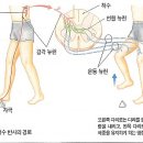 곡반사