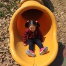 산동숲유치원 이미지