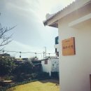 제주시절 이미지