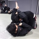 구로주짓수&MMA, 레슬링 이미지