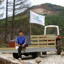 두메아리 이미지