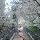 230008 | 임신 후기 단축근무 날짜 계산하는 방법/엑셀파일 공유/임신 12주차 32주차 기준/단축근무 급여