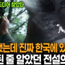 전설의 동물 사향 노루 이미지