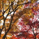 제천(배론성지) 이미지