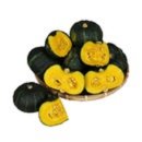 신기녹색농촌체험마을 이미지