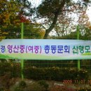 영산중학교 이미지